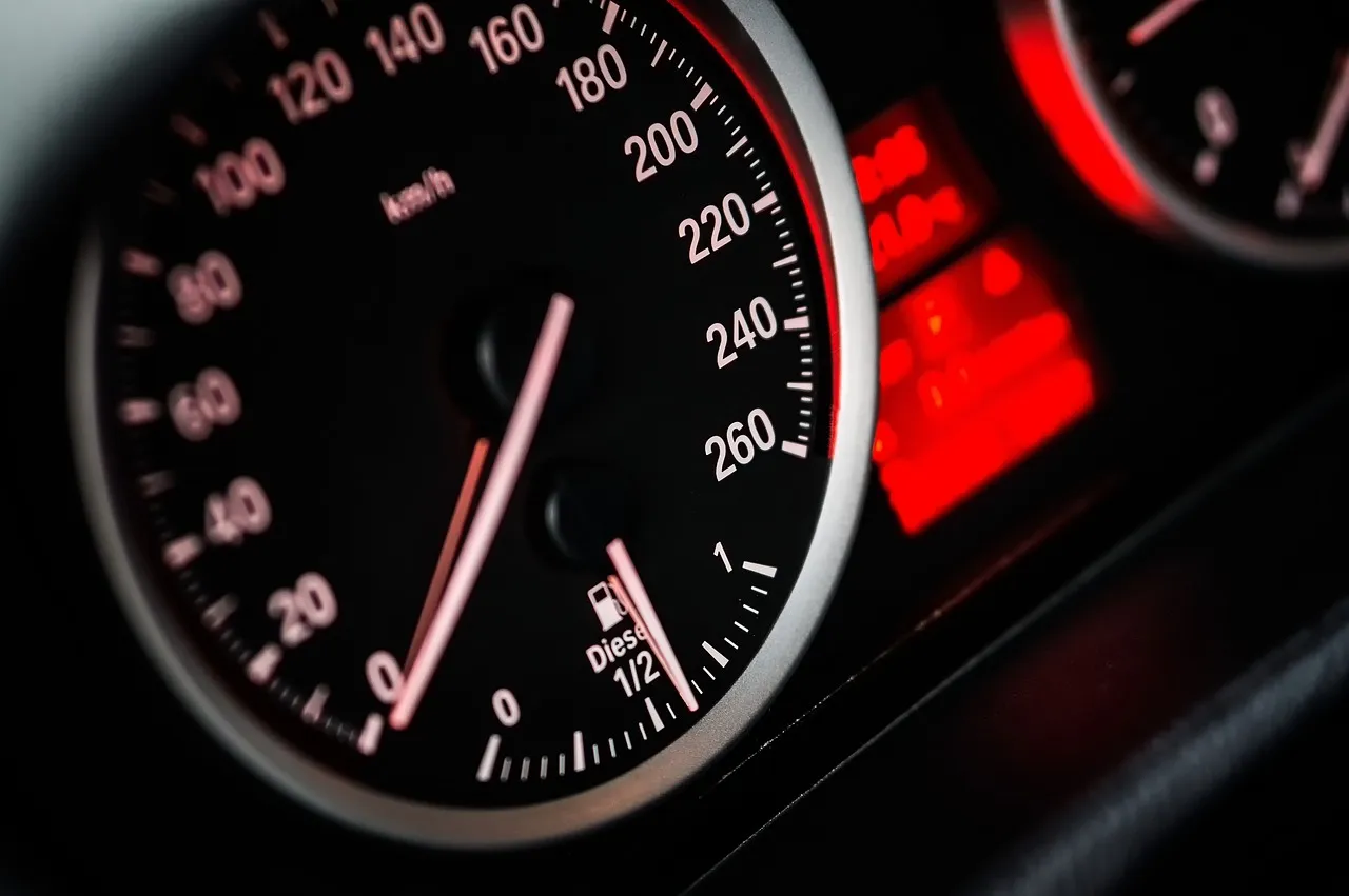 Renewing your driver's license without going to the Traffic Department: Is it possible?